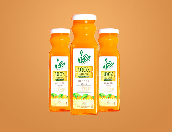 Portfolio Image 11 Free Img